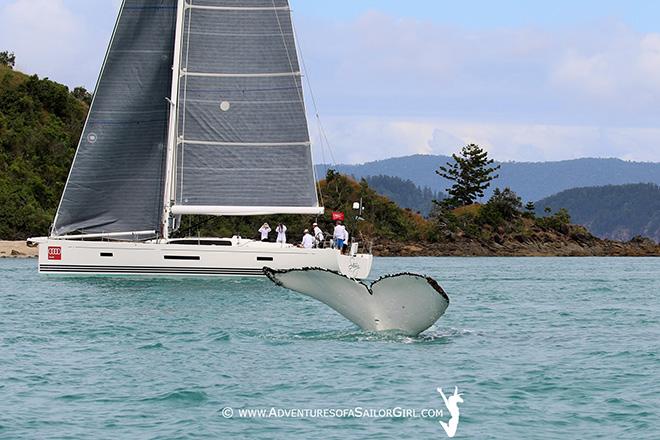 2016 Audi Hamilton Island Race Week - Day 2 © Nic Douglass / www.AdventuresofaSailorGirl.com